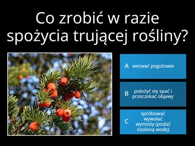 Przyroda Kl Ro Liny I Zwierz Ta Wok Nas Materia Y Dydaktyczne