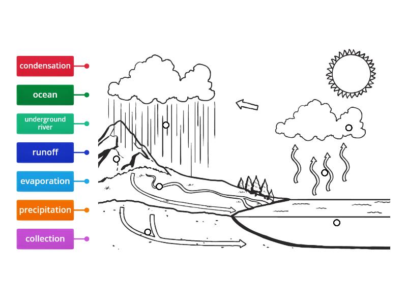 Water Cycle