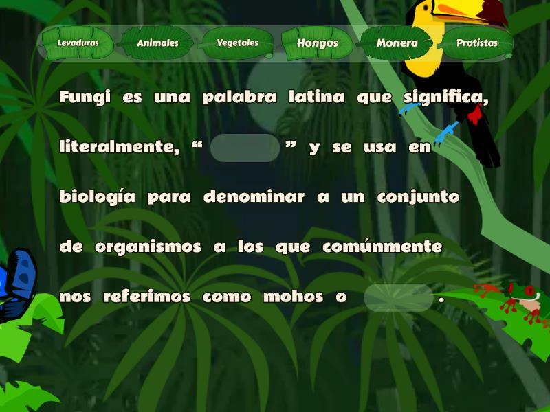 Reino Fungi Completa La Frase