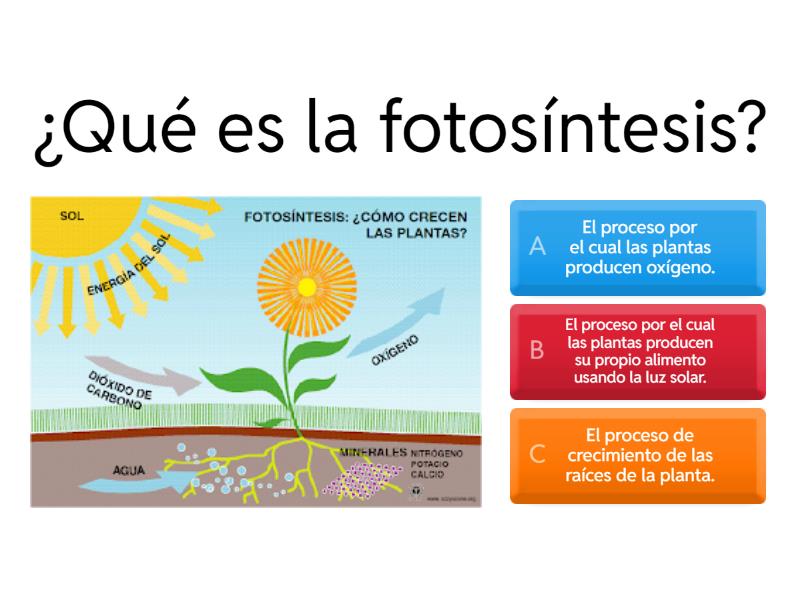 Cuestionario De Ciencias Naturales Quiz