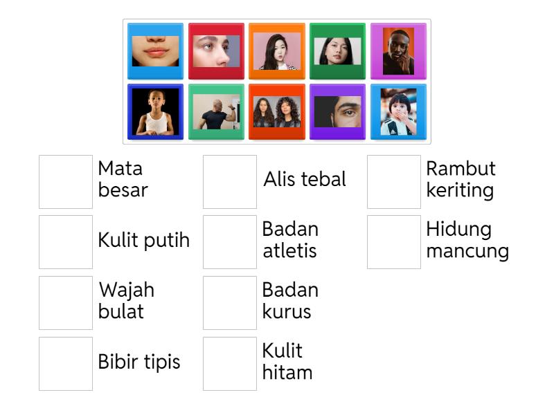 Anggota Tubuh Manusia Match Up