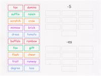 Plurals: -s or -es?