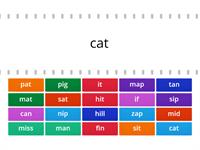 Short Vowel a and i Words for Fluency Practice