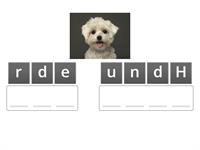 1a35337dd9f142b1afcbf34de0a60104_3