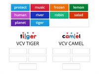 VCV - Tiger or Camel?