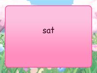 1.3 Fat Stack Flashcards (100 real/nonsense)