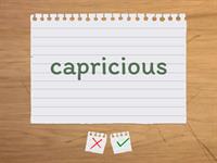 Les adjectifs de caractère/personnalité
