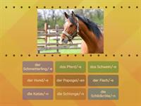 75f55a6775bd48418178501a8d06a6a0_2