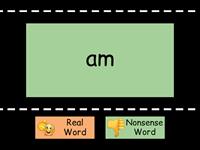 Sorting cvc, cvcc and vc words