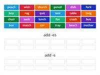 plural nouns (-s/-es)