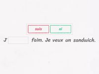 être ou avoir? fill in the blank