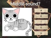 CVC Middle Sound 