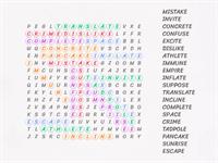 VCe wordsearch