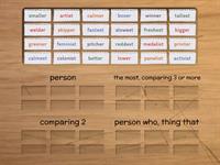 Barton 5.5 Vowel Suffixes Sort