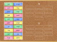 Word Sort Hard and Soft G