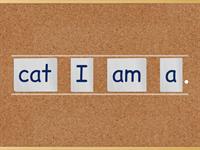 Sentence Unscramble Set 1