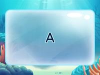  Animal ABC's