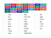 Network + Ports N10-008