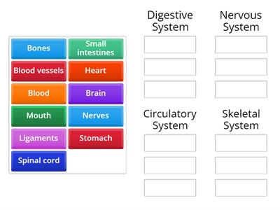 Organs and organ systems catergory quiz 7Y3 and 7X4