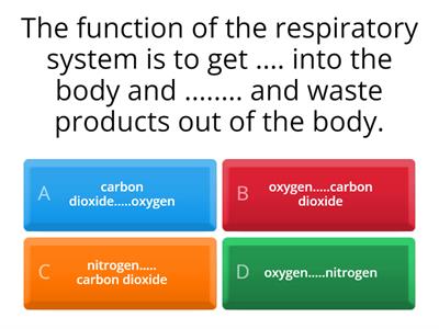 respiratory system quiz