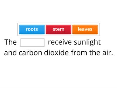 Plants Class 3