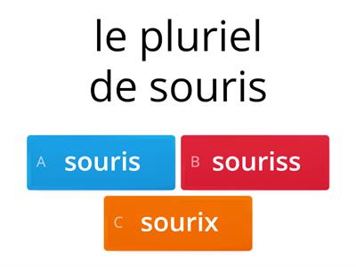 le pluriel des noms en francais