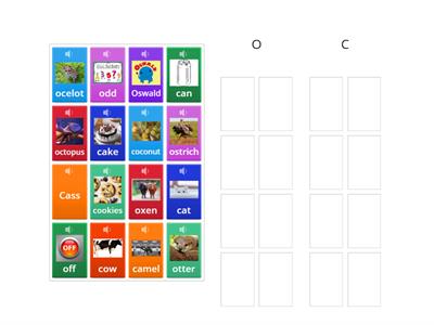 Auditory Discrimination /o/ and /c/