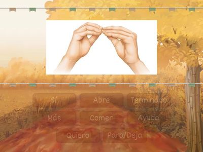Lenguaje de señas (simple)