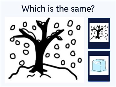 Winter Vocab - Same and Different