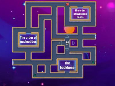 DNA Structure Maze