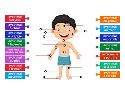 Avoir mal + vocabulaire