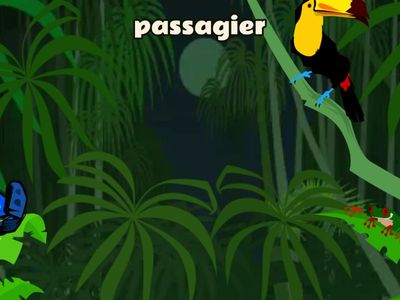 1MH / 3.2 / Vocabulary: Transportation: flying fruit