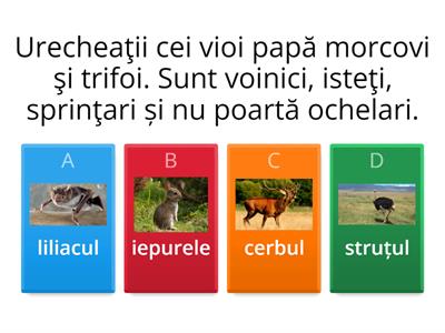 Animale sălbatice - ghicitori (quiz)