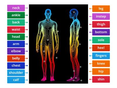 F6B - Parts of the body