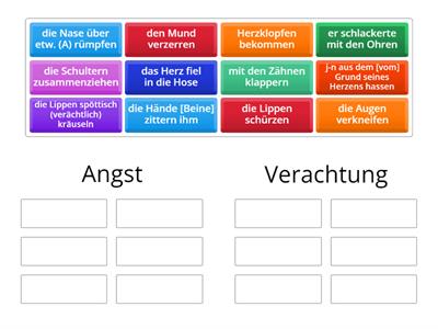 Somatismen und Kinegramme (Angst und Verachtung)