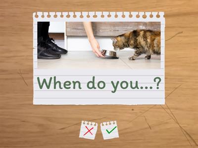 Daily Routine - Ellii Lesson Flashcards