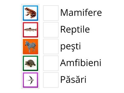 Grupe de animale vertebrate