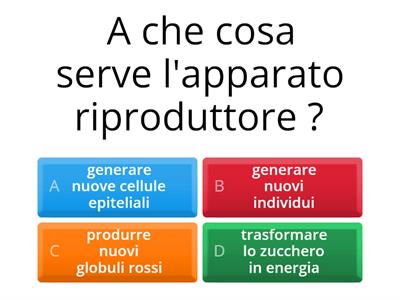 Quiz Apparato riproduttore