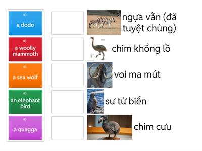 3/12 ENGLISH animals 