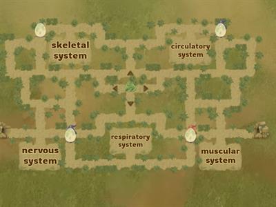 Introduction Activity