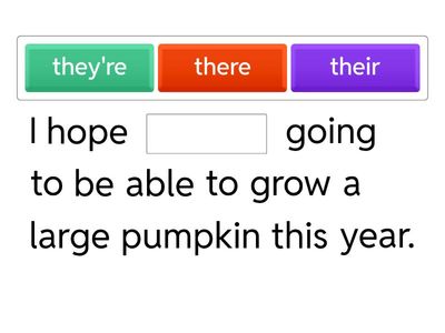 There/Their/They're Practice with Homophones