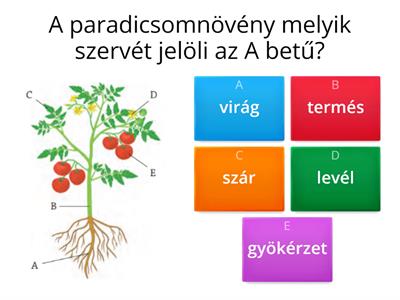 Növények 5. osztály