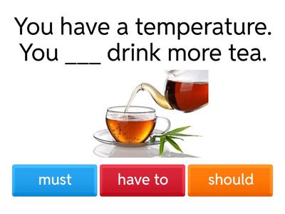 Must / have to / should 