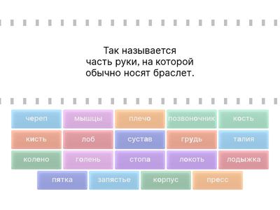 ТЕЛО ЧЕЛОВЕКА 🦵🦶🫁