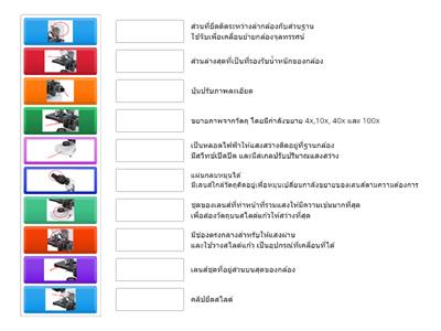 ส่วนประกอบและหน้าที่ของกล้องจุลทรรศน์ ม.4