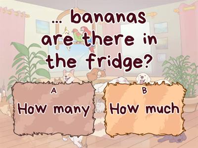 How much vs How many