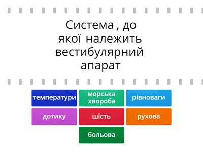 Сенсорні системи. З повагою Лариса Терещенко