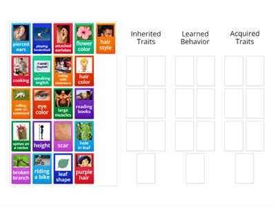 Inherited Traits, Acquired Traits, or Learned Behavior