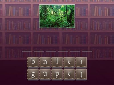 On safari Bugs Teams - spell the word