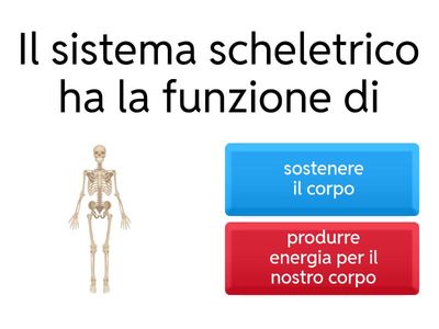 Sistema scheletrico - Apparato Locomotore